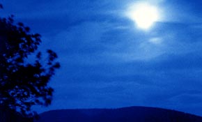 night scene in blue-tone