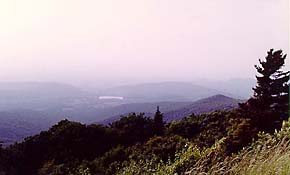 original off-tinted photo