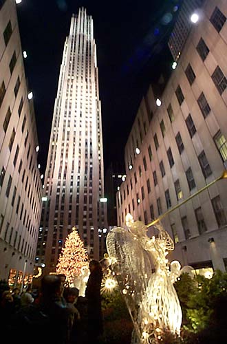 composite image of 3 tree pics